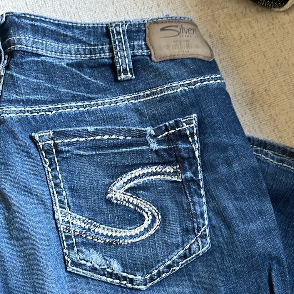 Silver Capri - image 1